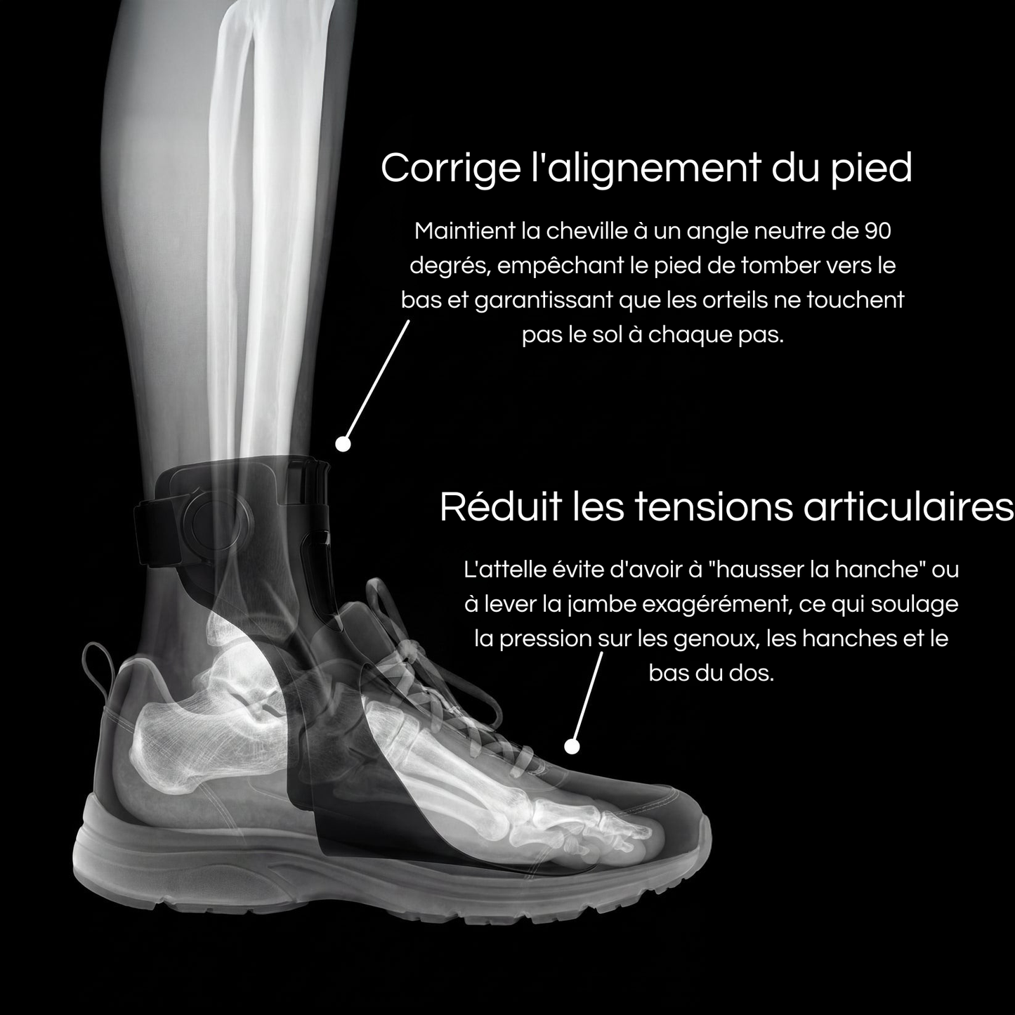 Orthèse de Maintien du Pied