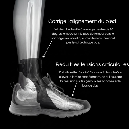 Orthèse de Maintien du Pied
