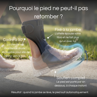 Orthèse de Maintien du Pied